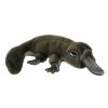 Animals * | Quick Delivery Platypus Soft Plush Toy By Hansa