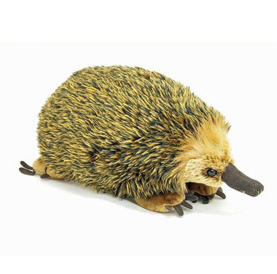 Animals * | New Threads Australian Echidna Large 30Cm Plush Toy By Korimco