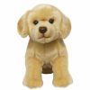 Animals * | Opening Sales Yellow Labrador Dog Soft Toy 30Cm Faithful Friends Collectables