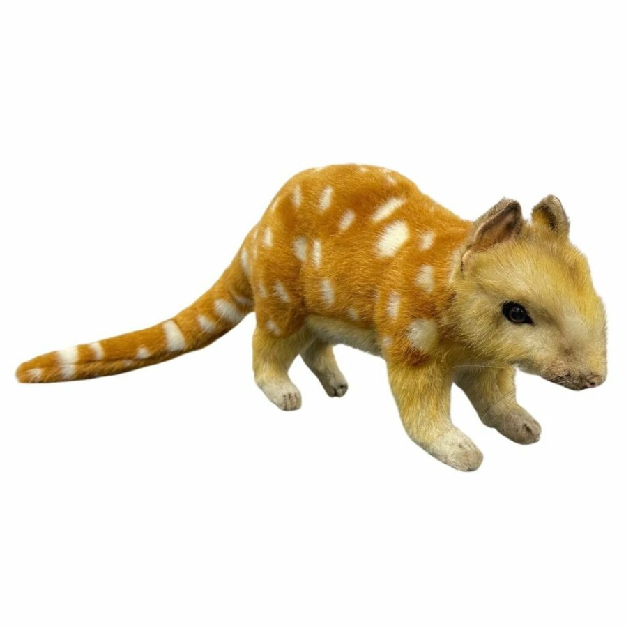 Animals * | Exclusive Design Quoll Soft Plush Toy By Hansa