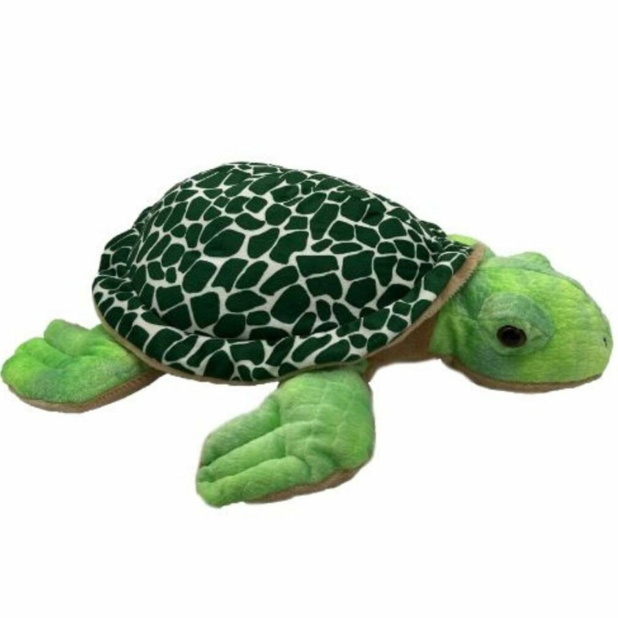 Animals * | Free Delivery Taylor Turtle Plush Toy Huggable Toys