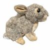 Special Occasions * | Top Sell Rabbit Cuddlekins Wild Republic