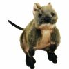 Animals * | Sale Quokka Soft Plush Toy By Hansa