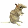 Animals * | Free Delivery Eastern Barred Bandicoot Soft Plush Toy By Hansa