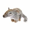 Animals * | Fashion Bocchetta Plush Toys Numbat Soft Plush Toy