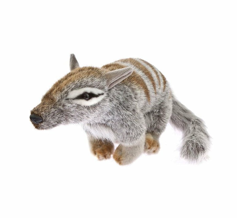 Animals * | Fashion Bocchetta Plush Toys Numbat Soft Plush Toy