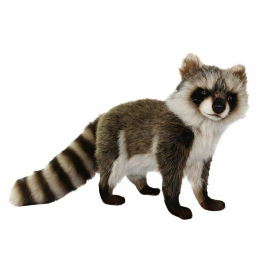 Animals * | Fashion Realistic Racoon Soft Plush Toy By Hansa