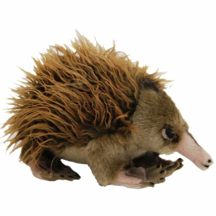 Animals * | Fashion Ganyi The Australian Echidna Soft Plush Toy By Elka Australia