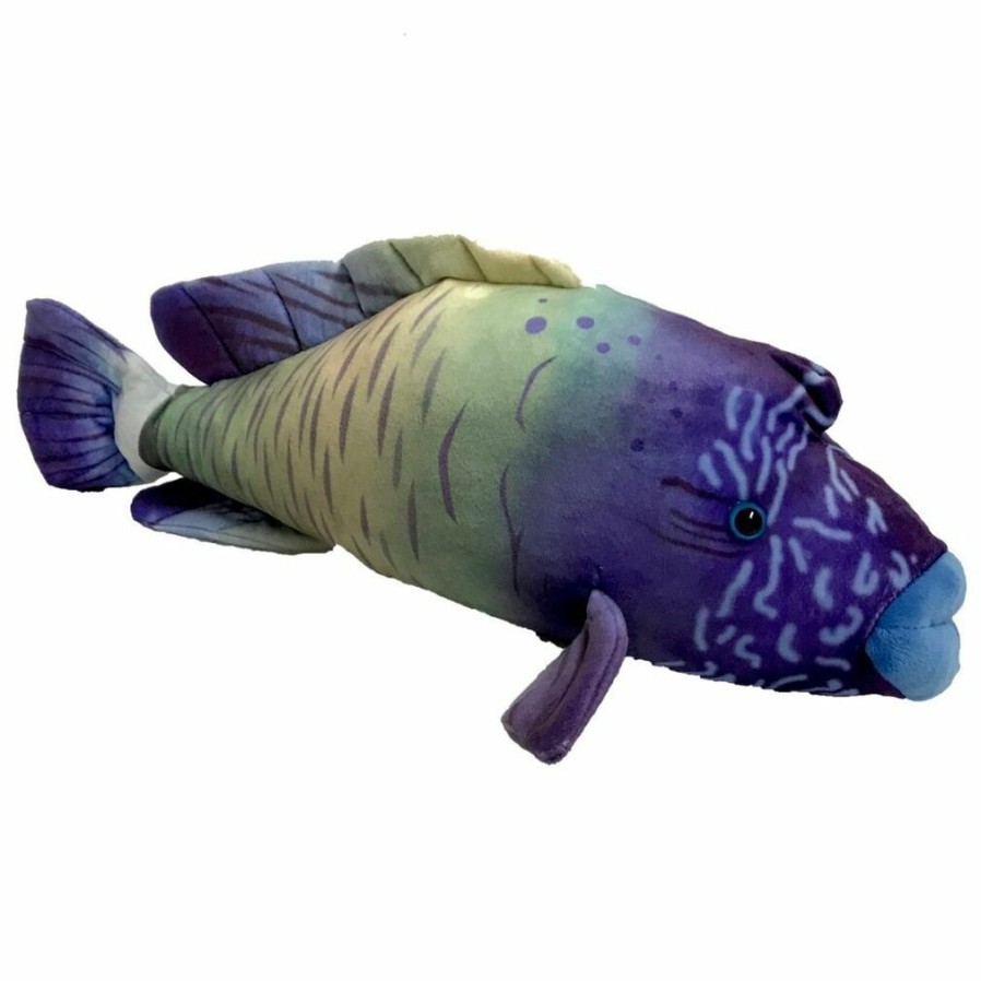 Animals * | Huggable Toys Exclusive Design Wrasse Fish Soft Plush Toy 16 /40Cm Huggable Toy