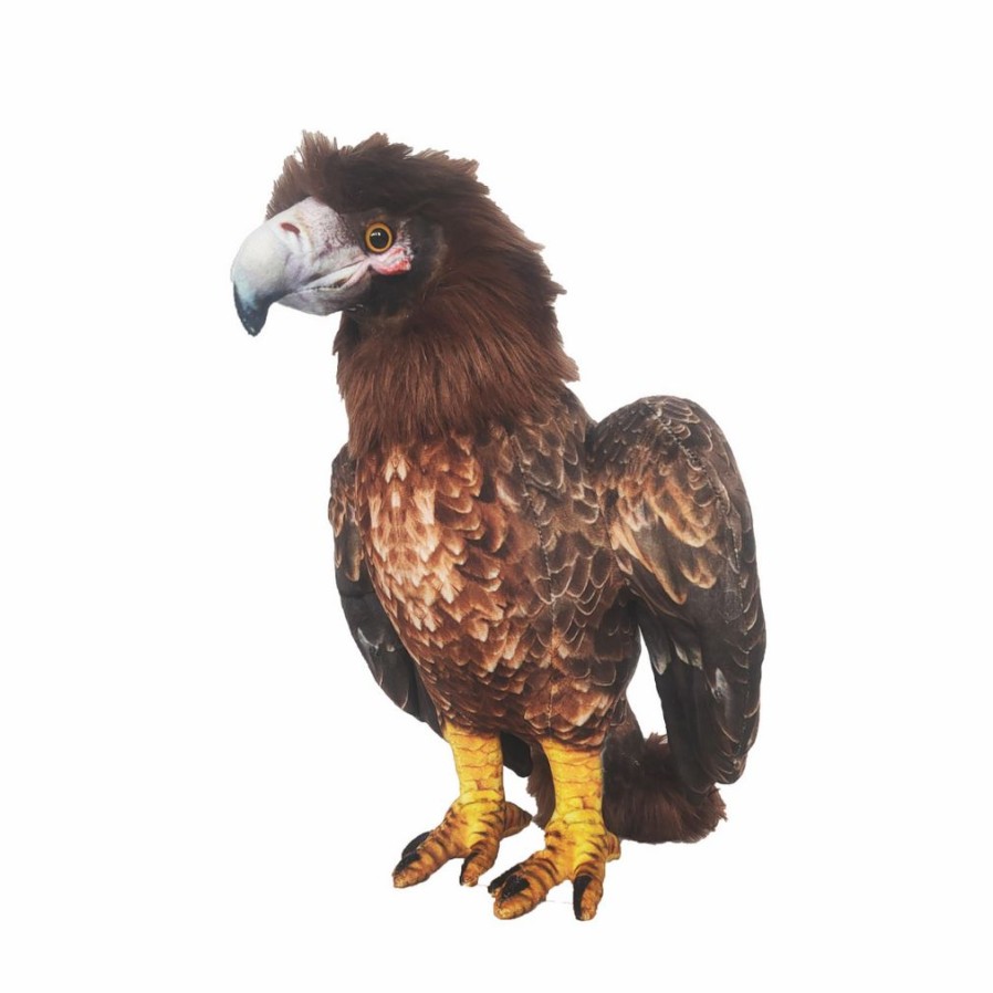 Animals * | Discount Melody Wedge Tail Eagle Soft Toy Eco Buddiez By Huggable Toys