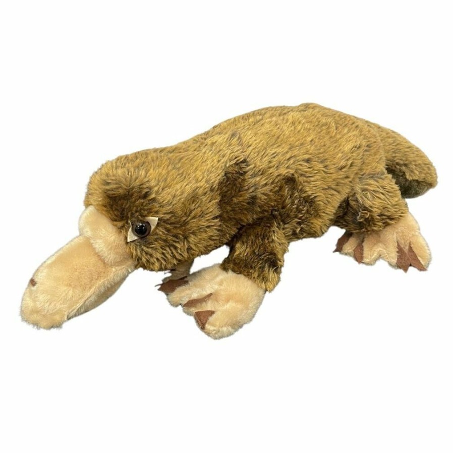 Animals * | Quick Delivery C A Australia 50Cm Platypus Plush Toy