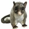 Animals * | Gift Selection Possum Soft Plush Toy By Hansa