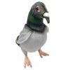 Animals * | Tendy Style Pigeon Soft Plush Toy By Hansa